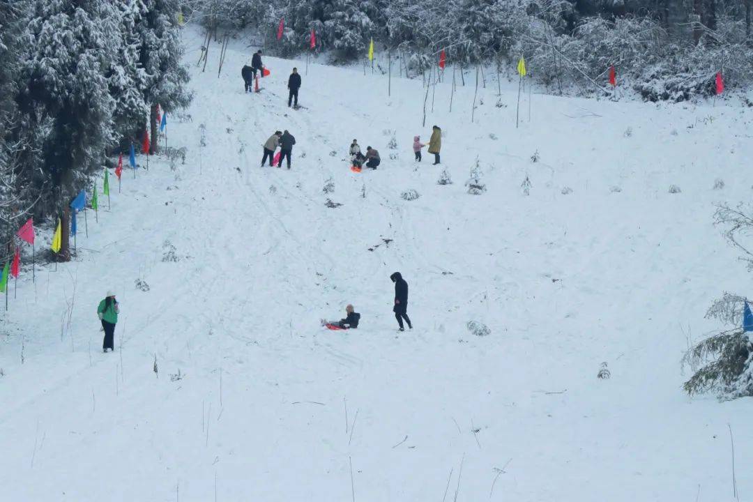 你要的这里都有!_活动_宝山_冰雪