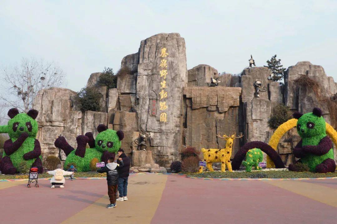 丝路欢乐世界 乐华城 动物园 海洋馆 山谷光影秀._儿童_成人_内容