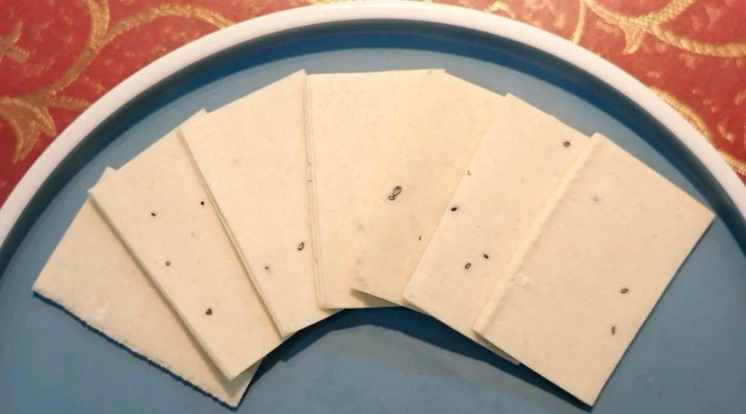 龙年宝应寻"龙" | 泾河小白龙大糕 【附视频】_美味_传统_刘学斌