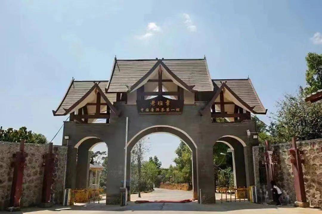 班盆古茶山:位于云南省西双版纳傣族自治州勐海县勐混镇贺开村民卧北