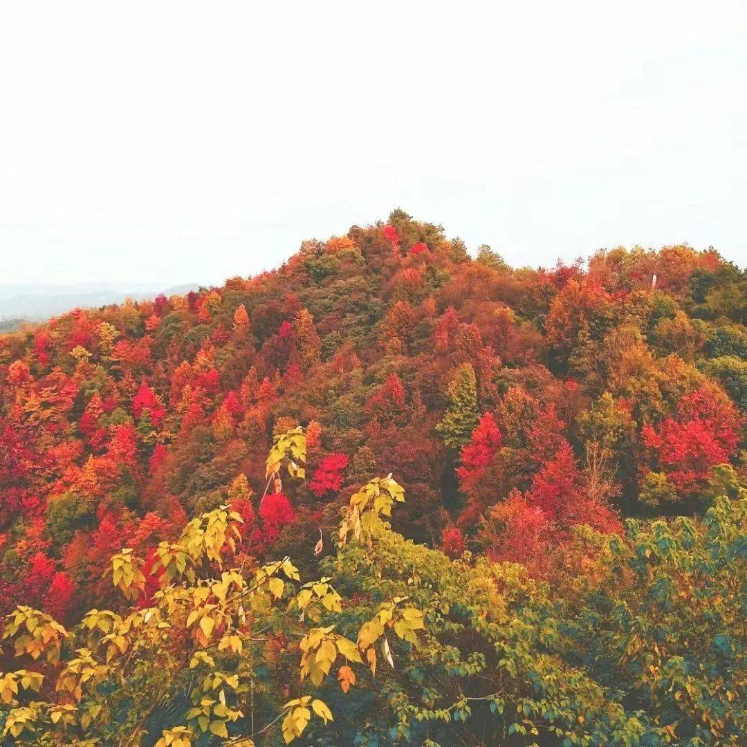 山市晴嵐,這是雨霽天晴的昭山清晨_米芾_湘潭_雲山