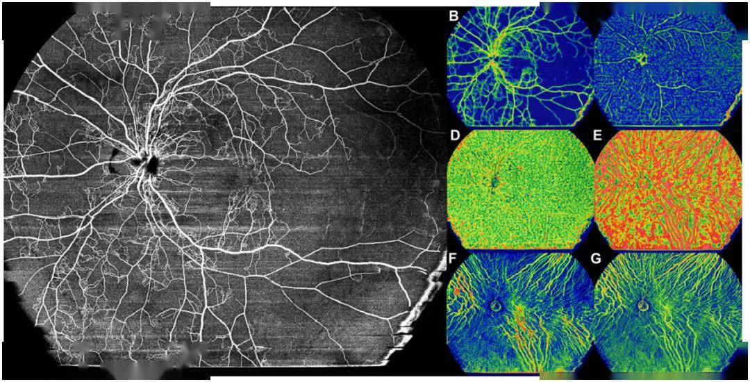 2023年度盘点丨勇攀高峰 锐意进取,北京协和医院教授.
