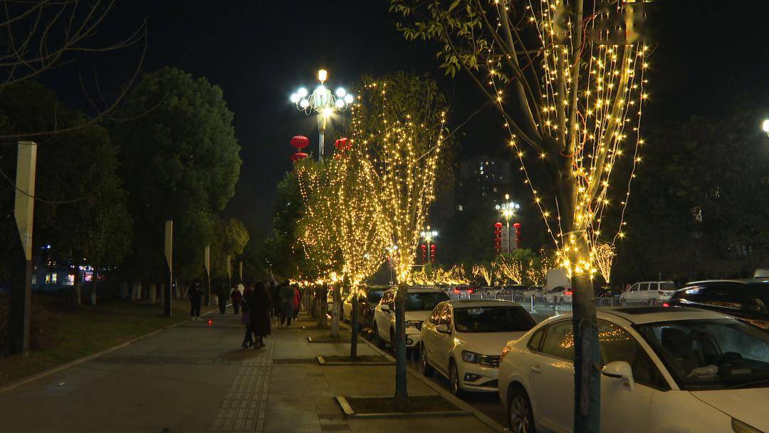 西充县夜景图片