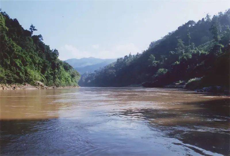 云南省红河州绿春县:绿水青山,四季如春_哈尼_白旺_茶叶