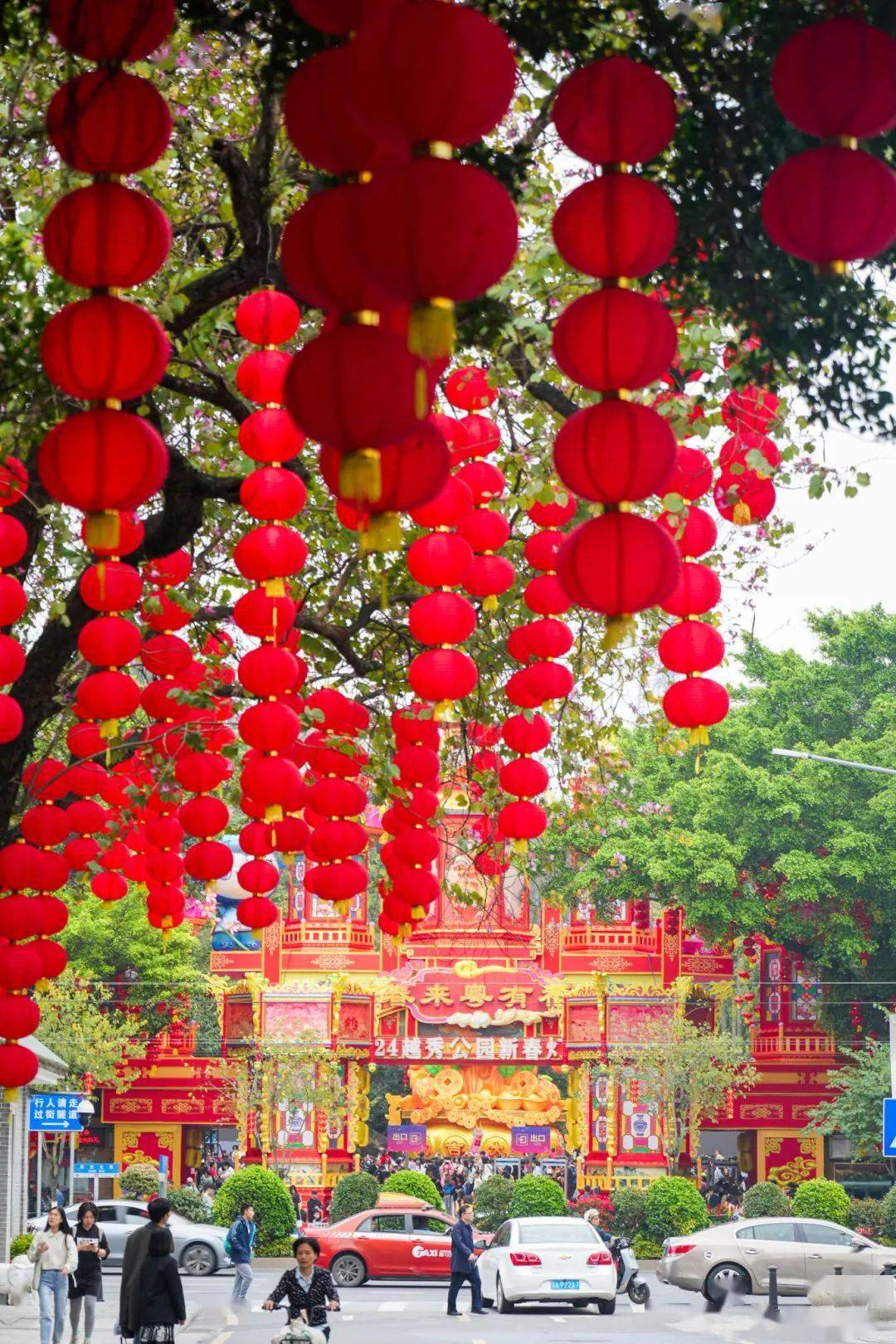 高高悬挂在树上一排排,一串串的红灯笼在越秀的大街小巷中欣赏户外美