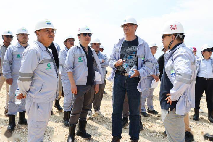 龙腾虎跃新浙商④振石控股集团张健侃:让"地瓜经济"