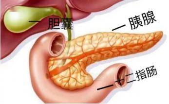 【健康科普】过年吃出胰腺炎?消化内科来支招:这样吃