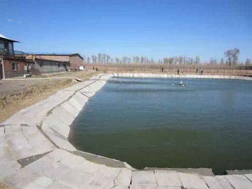 养殖池塘修建标准!如何修整才能在暴雨季固若?