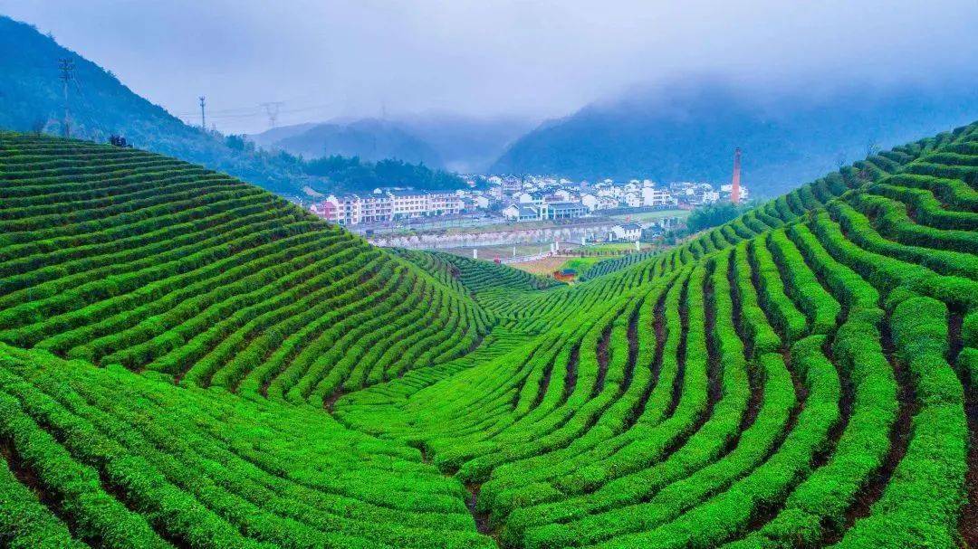 全省金3a级景区 浦江这处风景记得打卡!_上河村_旅游