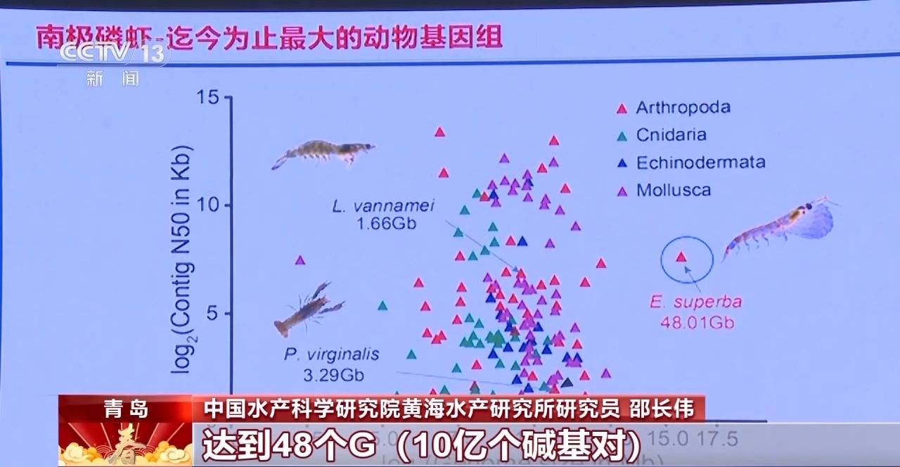 如何給南極冰蓋做