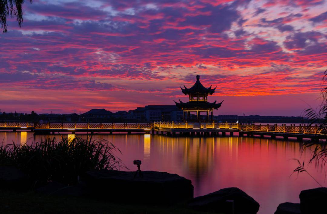 我在南湖过"龘"年丨乐享免费公交,畅玩"七星"!_嘉兴_环湖_度假