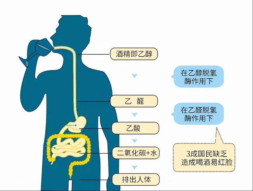 红脸,白脸,不上脸,节日喝酒需看脸色行事