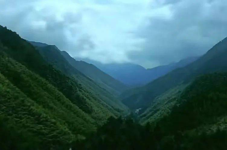 繁花掩映,珍禽异兽,好不神奇龙川大峡谷92小红书 桐木村息氧山宿在