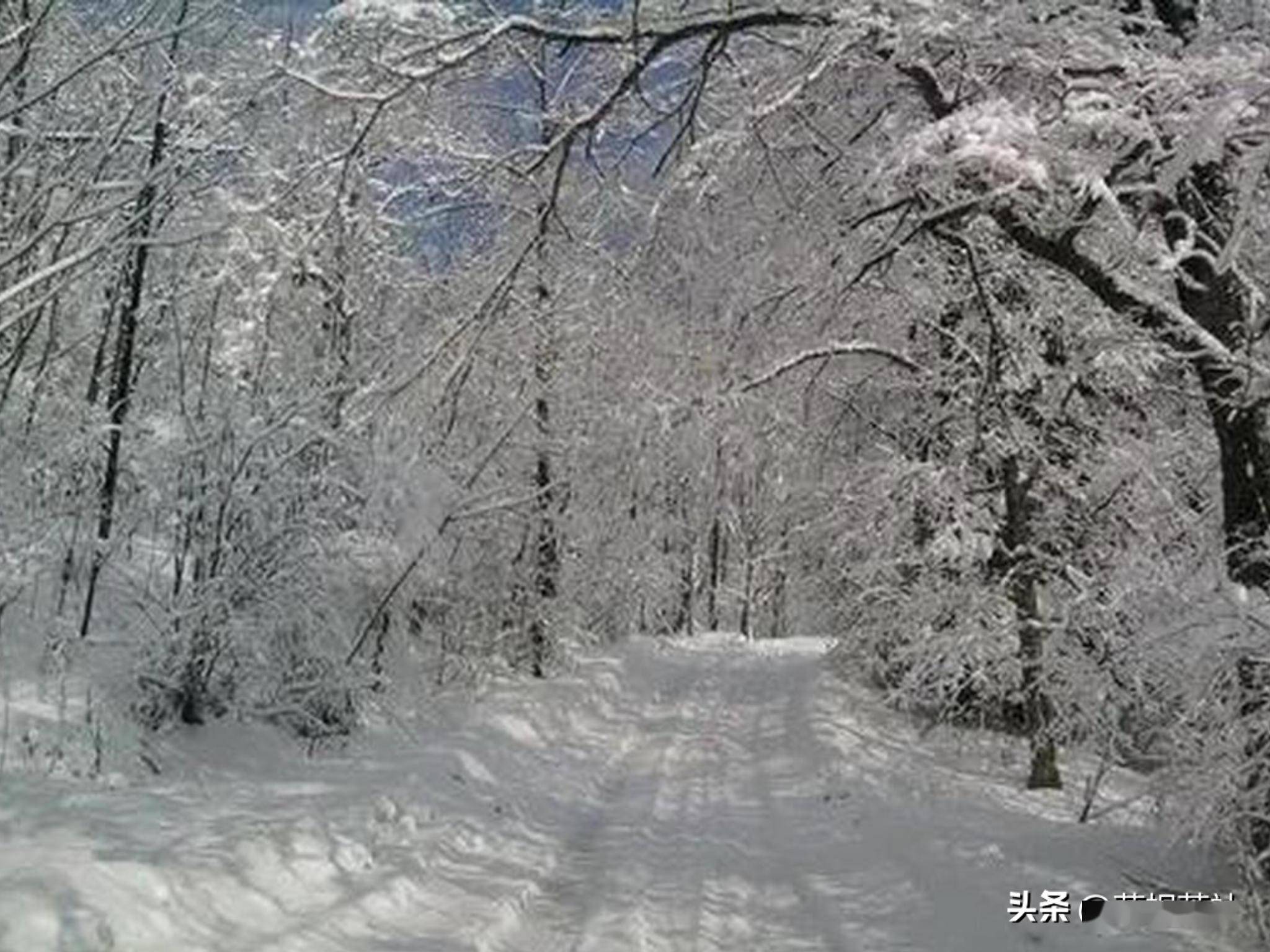 知青往事:当年下乡插队在第二故乡度过的第一个春节