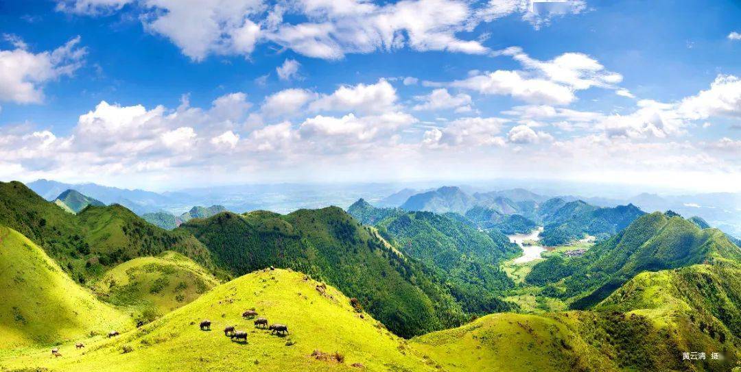 上林这些宝藏景点,春节等你来游玩_旅游_游客_景区