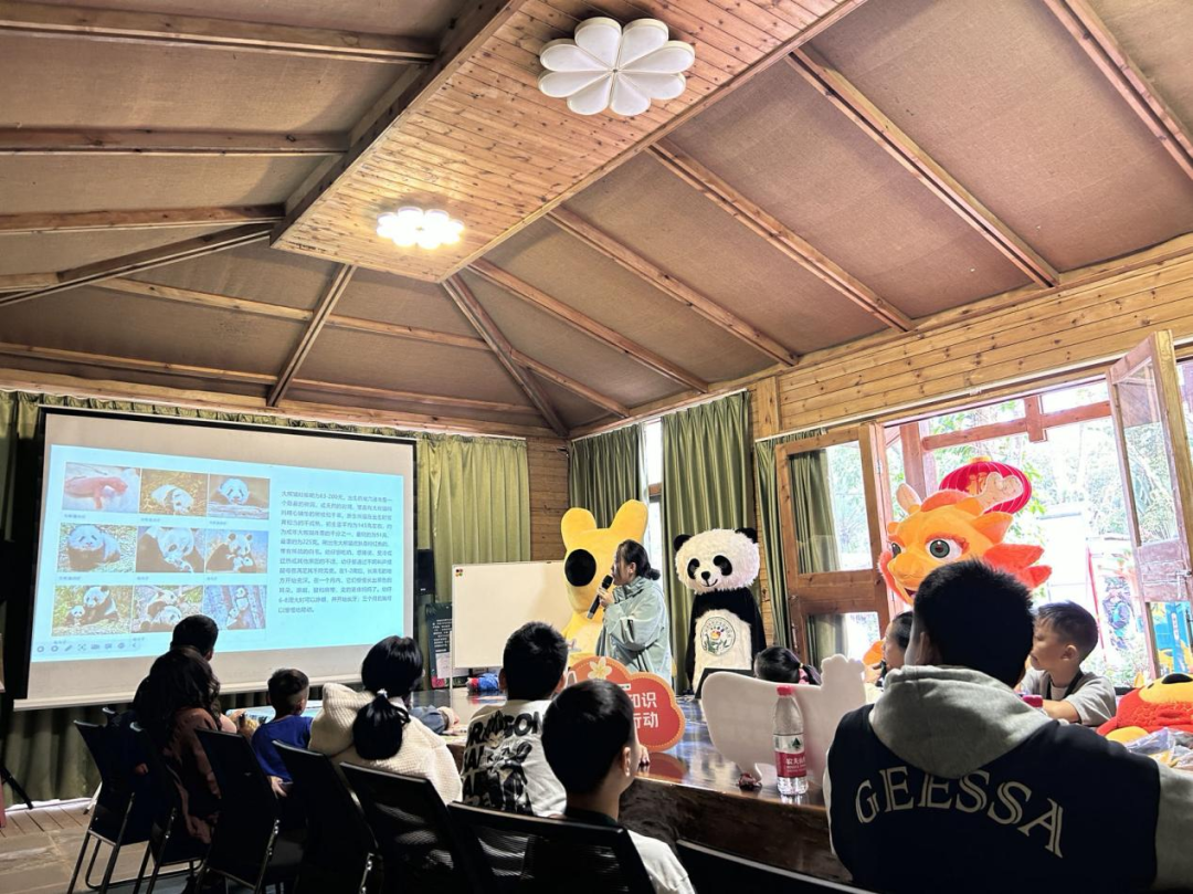 "太开心啦,在这里看到好多的动物,还能给大象喂甘蔗,下次我要带上我