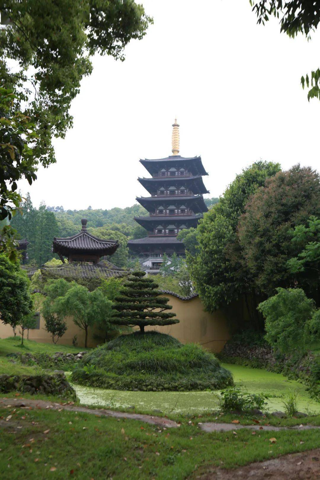 恭迎|正月初六 定光如来圣诞_菩萨_五百_众生