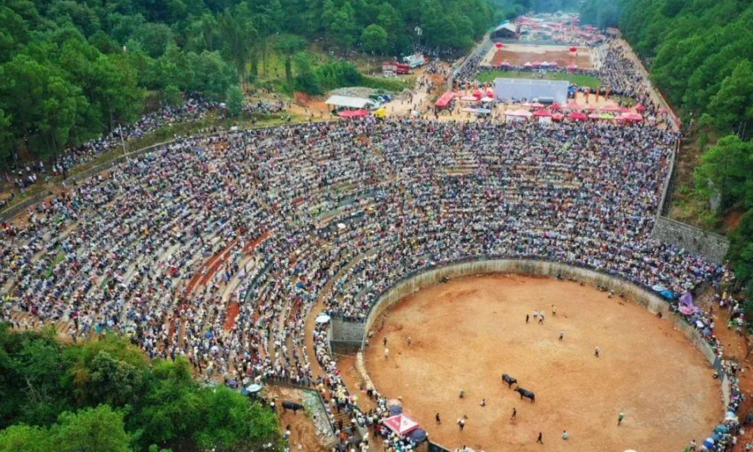 弥勒寺初九免门票_摔跤_景区_庙会