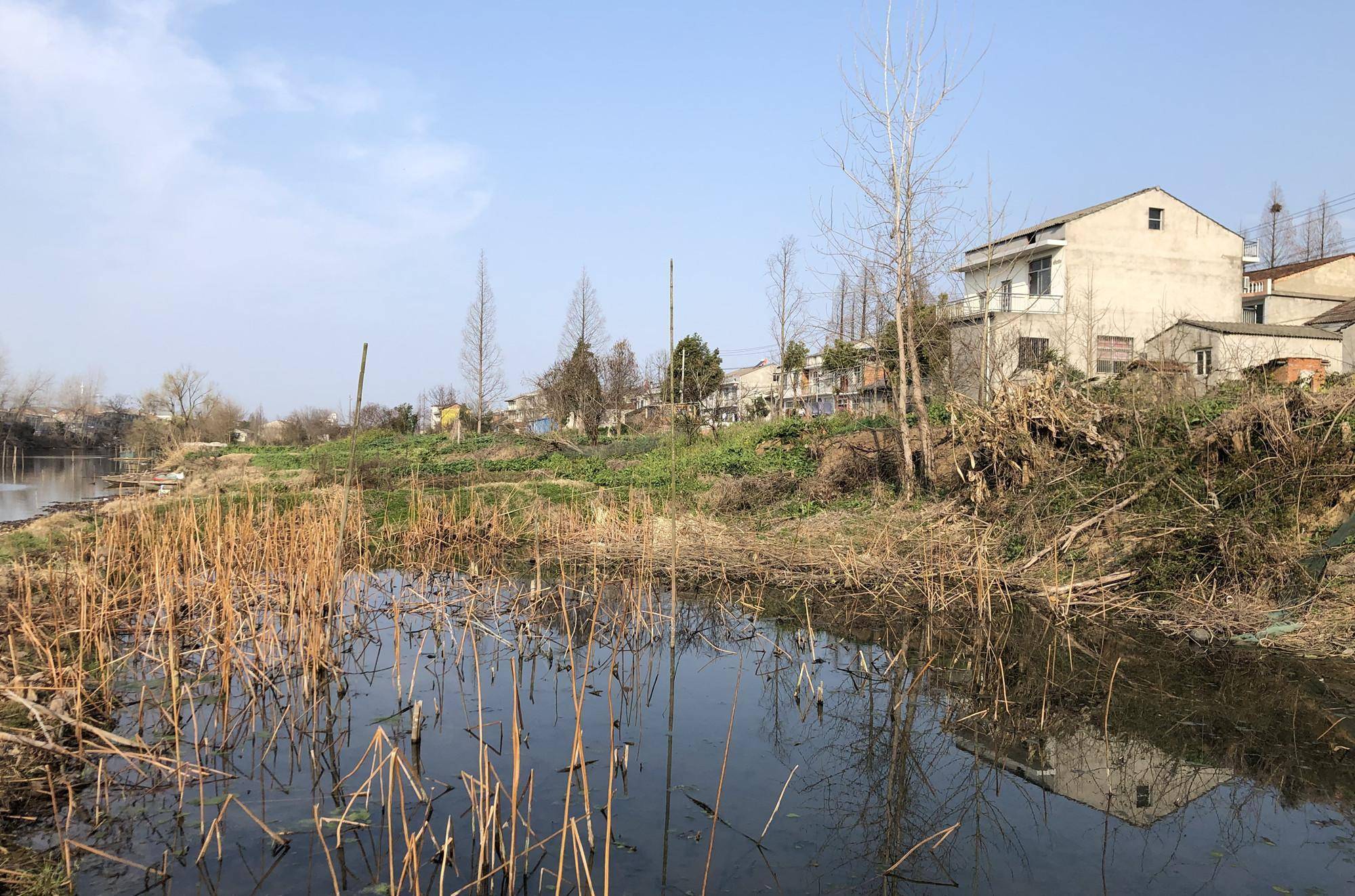 2020年,他结束生意回到村里养甲鱼.