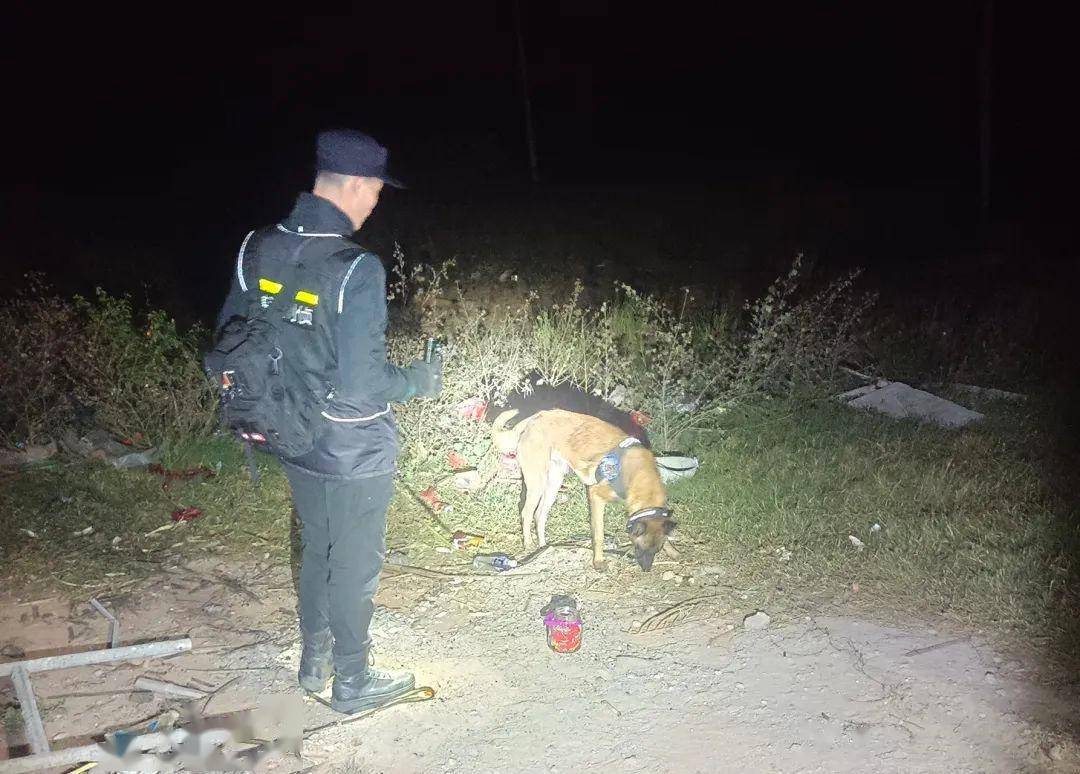 15岁女孩与父母争吵后带妹弟离家出走,警犬凌晨搜寻至芦苇丛找到_小孩