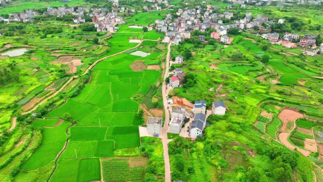 【回眸2003】阔步前行展气象——信州区乡村振兴全面