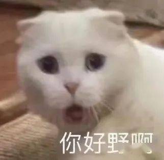 非常实用的表情包～_微信_方法_相册