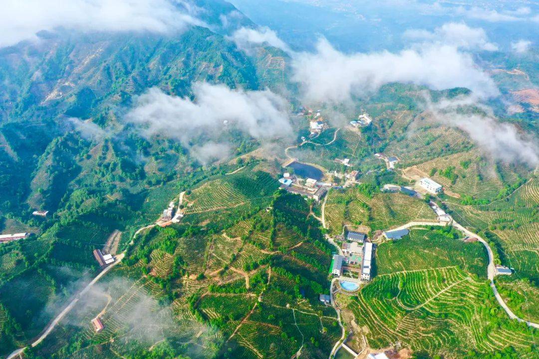 看河美联赛,打卡"出彩河源"特色旅游路线_东源县_上莞