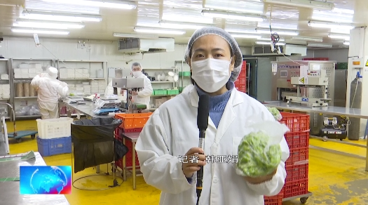 廊坊广电·头条丨【新春走基层】打造京津"净菜工厂"