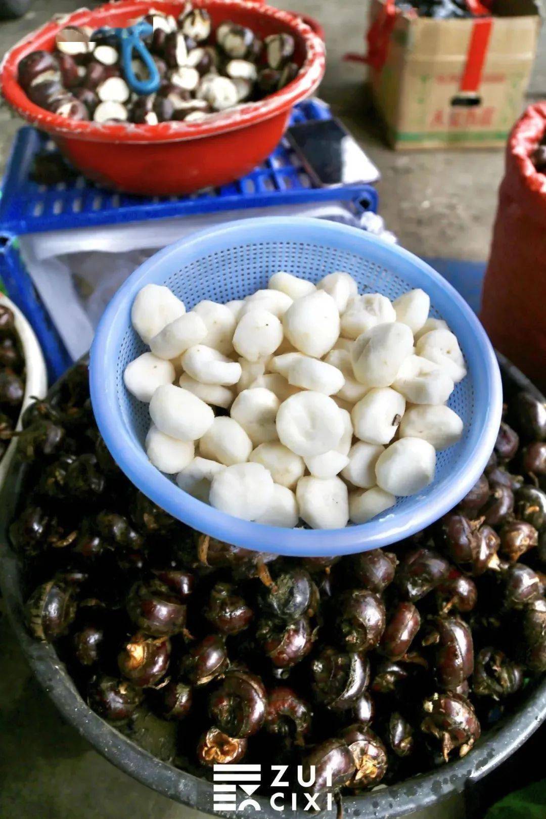 但千万要注意……_荸荠