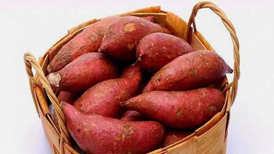 红薯保存有方法,学会这些小妙招,水分不流失放半年都!