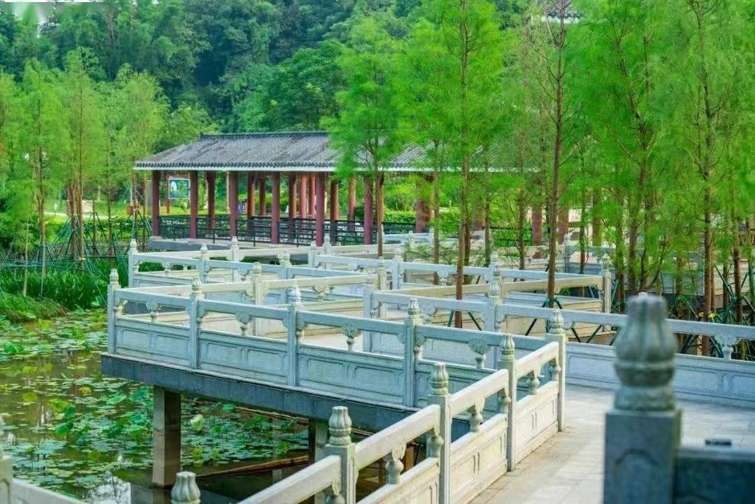 性文化生态公园是围绕华峰寺打造的华圣公园73增设500米诗竹小径