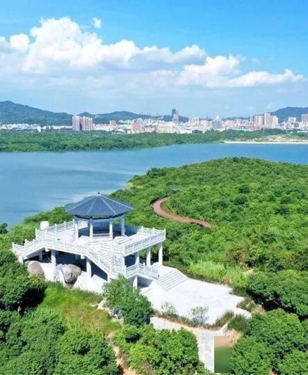 这个春节,石岩等你～_石岩湖_深圳_公园