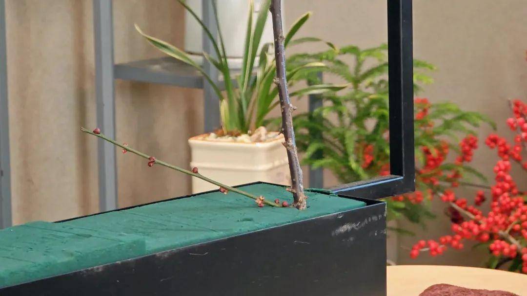 今天我们用到的花材主要为:腊梅枝,大花慧兰,澳梅,金丝桃果(红豆)