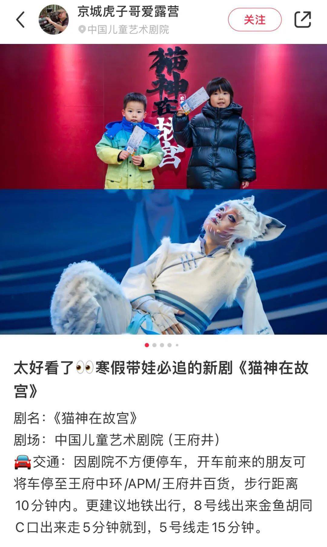 "猫神"火爆全网!观众"金句"频出(第二弹)_故宫_中国