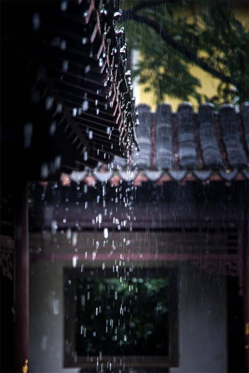 屋檐下躲雨唯美图片