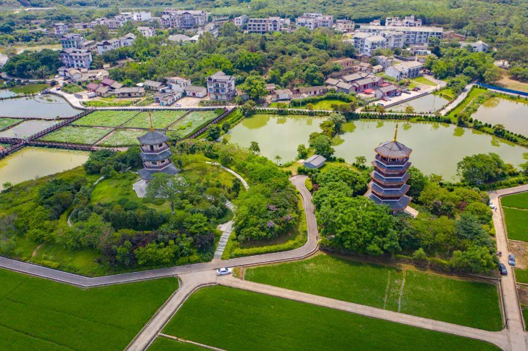 五彩田园,樱花大道来玉林五彩田园,漫步森林公园春天当然要看花海