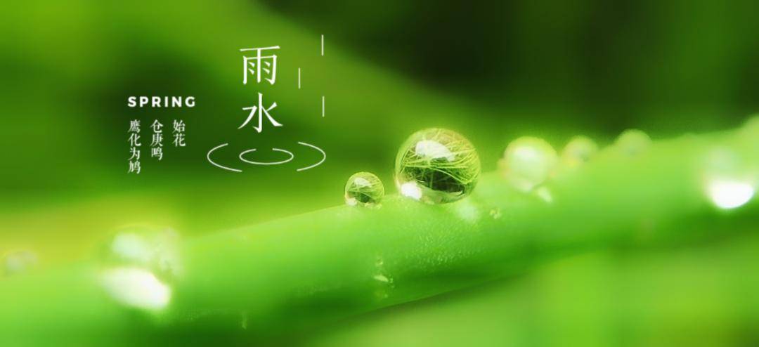 【复华名师坊】好雨知时节,当春乃发生——雨水诗词赏析_节气_山峰