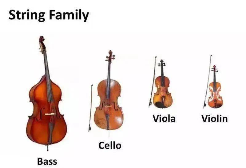 在乐器结构上,中提琴的结构和材质和小提琴是相近的,只是在尺寸上更大
