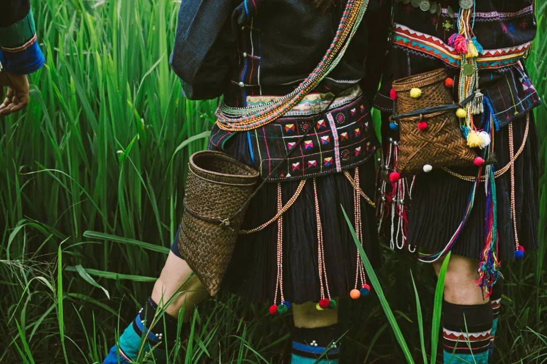 去真正的西双版纳,吃一顿雨林杀猪宴_阿卡_种植_山谷