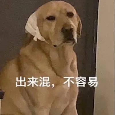 周一 打工人实用发疯表情包