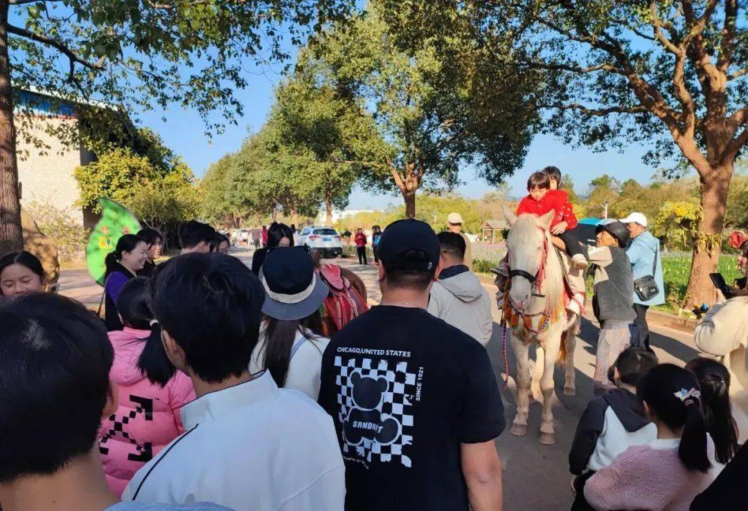 基地,全新萌宠乐园互动 亲子乐园,紫罗兰花海,金鱼草花园,石竹花花田