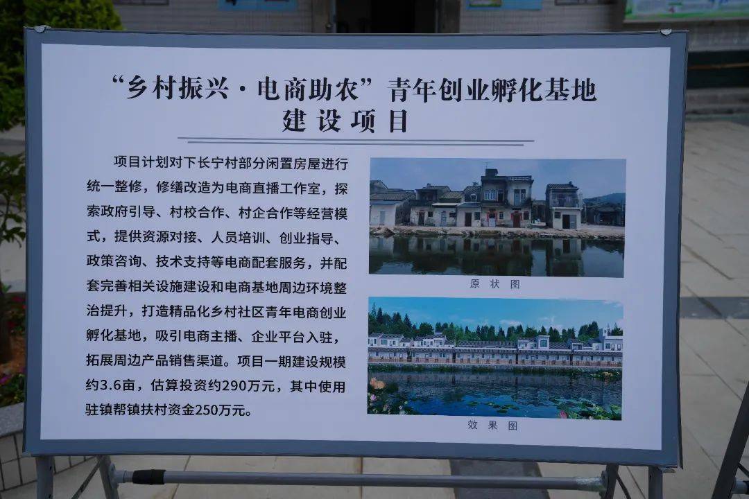 时政要闻 | 区委书记王楚彬带队开展"百千万工程"调研工作_发展_莲华