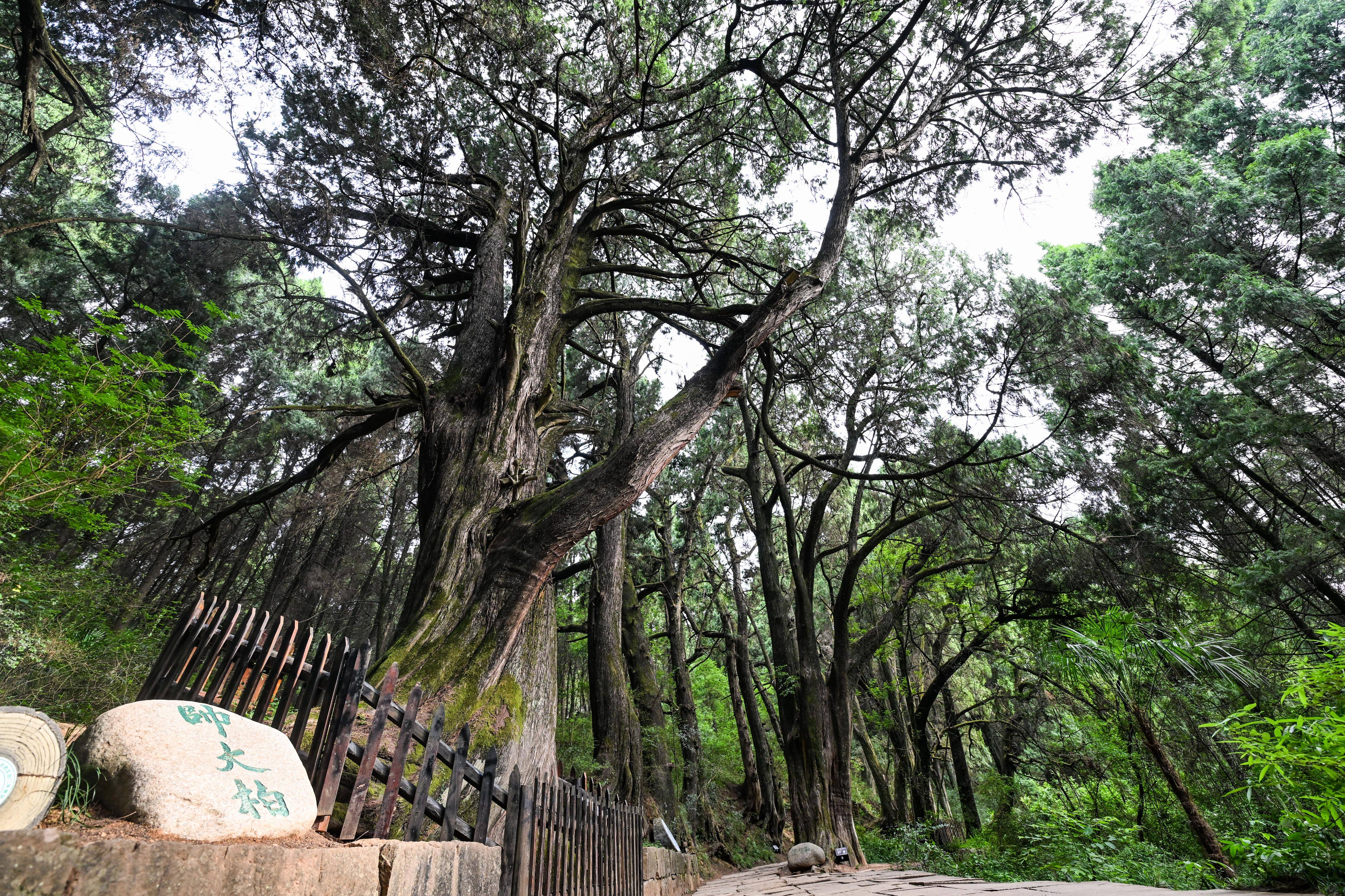 广元骑自行车怎么去剑阁（广元骑自行车怎么去剑阁景区）《广元到剑阁景区》