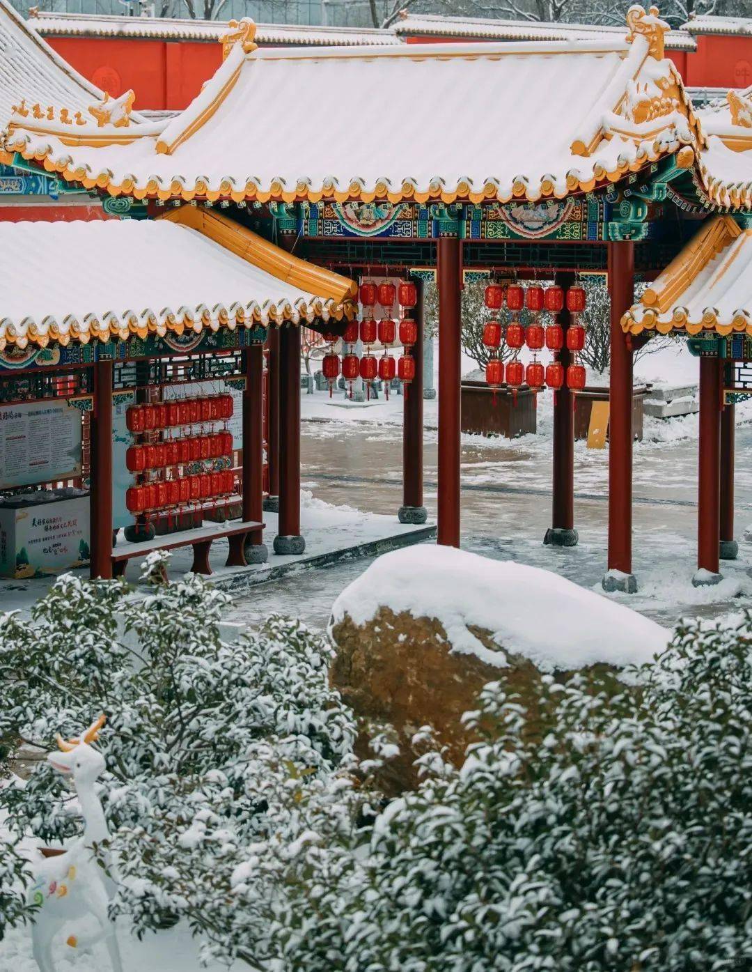 雪花_白雪_红墙