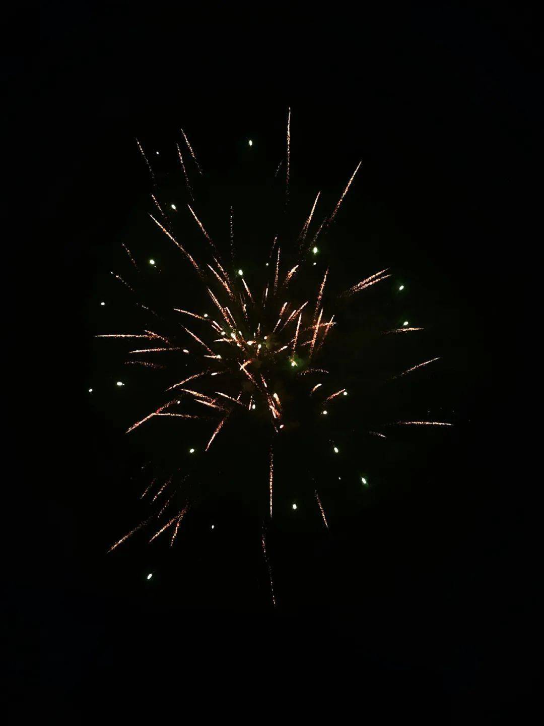 金龙贺丰年,四方共团圆 | 北大经院青年新春摄影大赛邀您投出宝贵一票