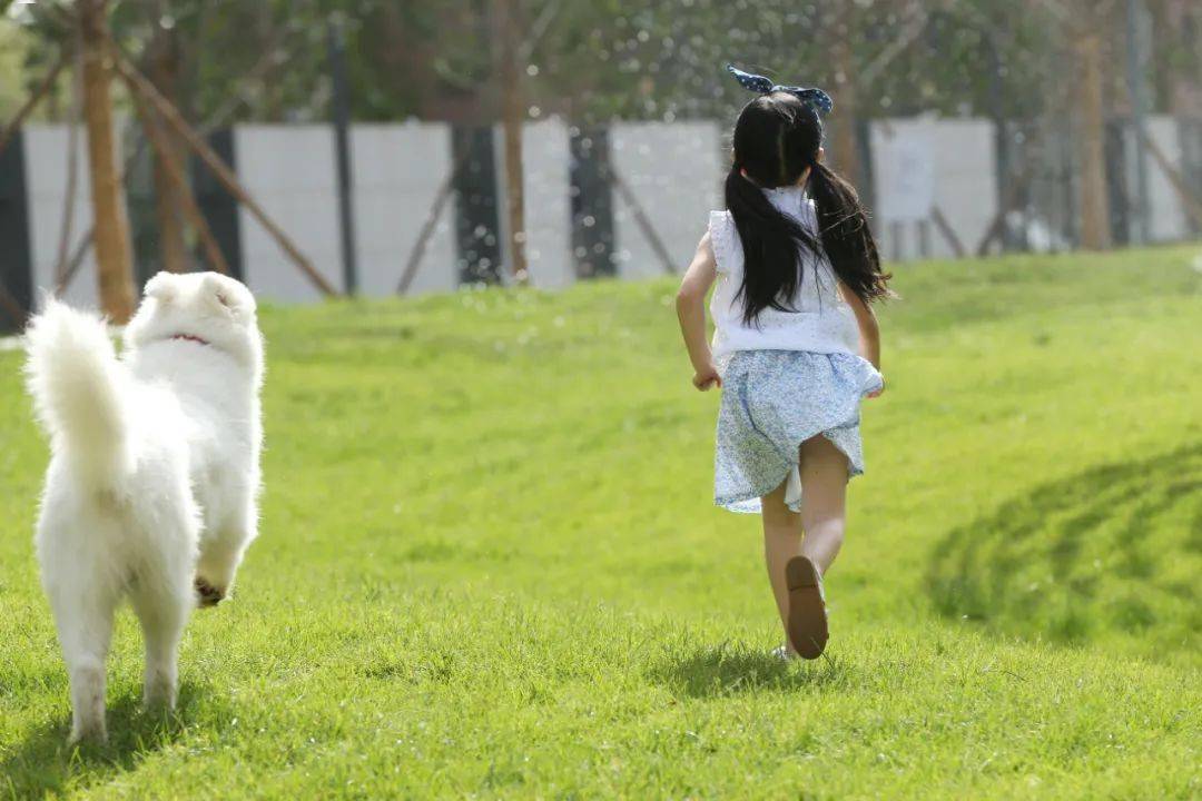 家教故事丨关爱动物的女孩,爱与关怀的种子来自父母_保护_品格_小区