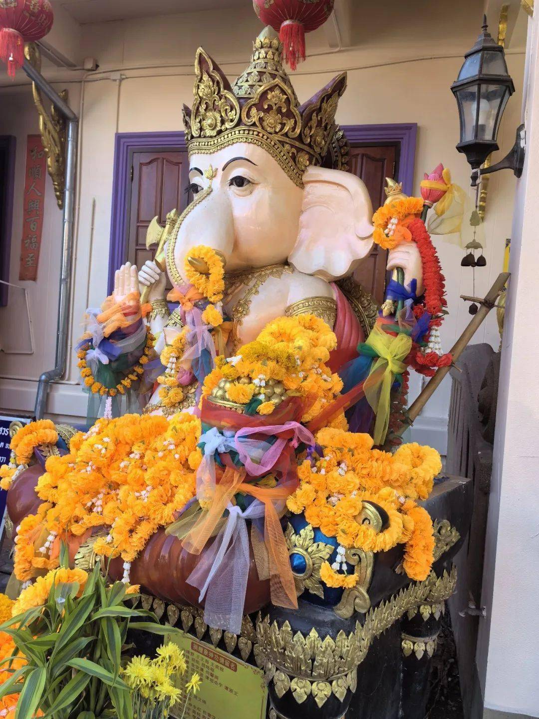 大象佛,在泰国大象很常见,既是他们的劳动工具,交通工具,也是心目中的