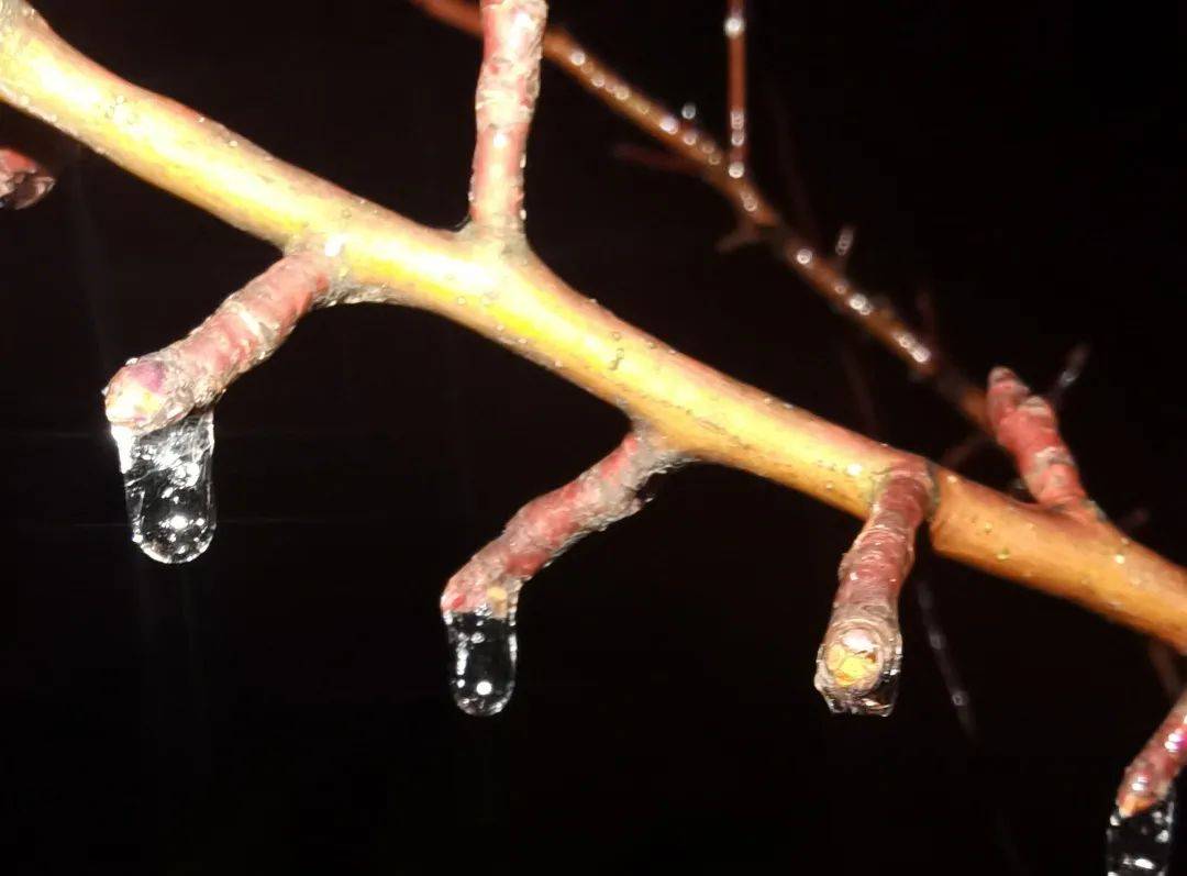 雨,雨夹雪,雪,冻雨,冰粒组团而来,请注意防范!