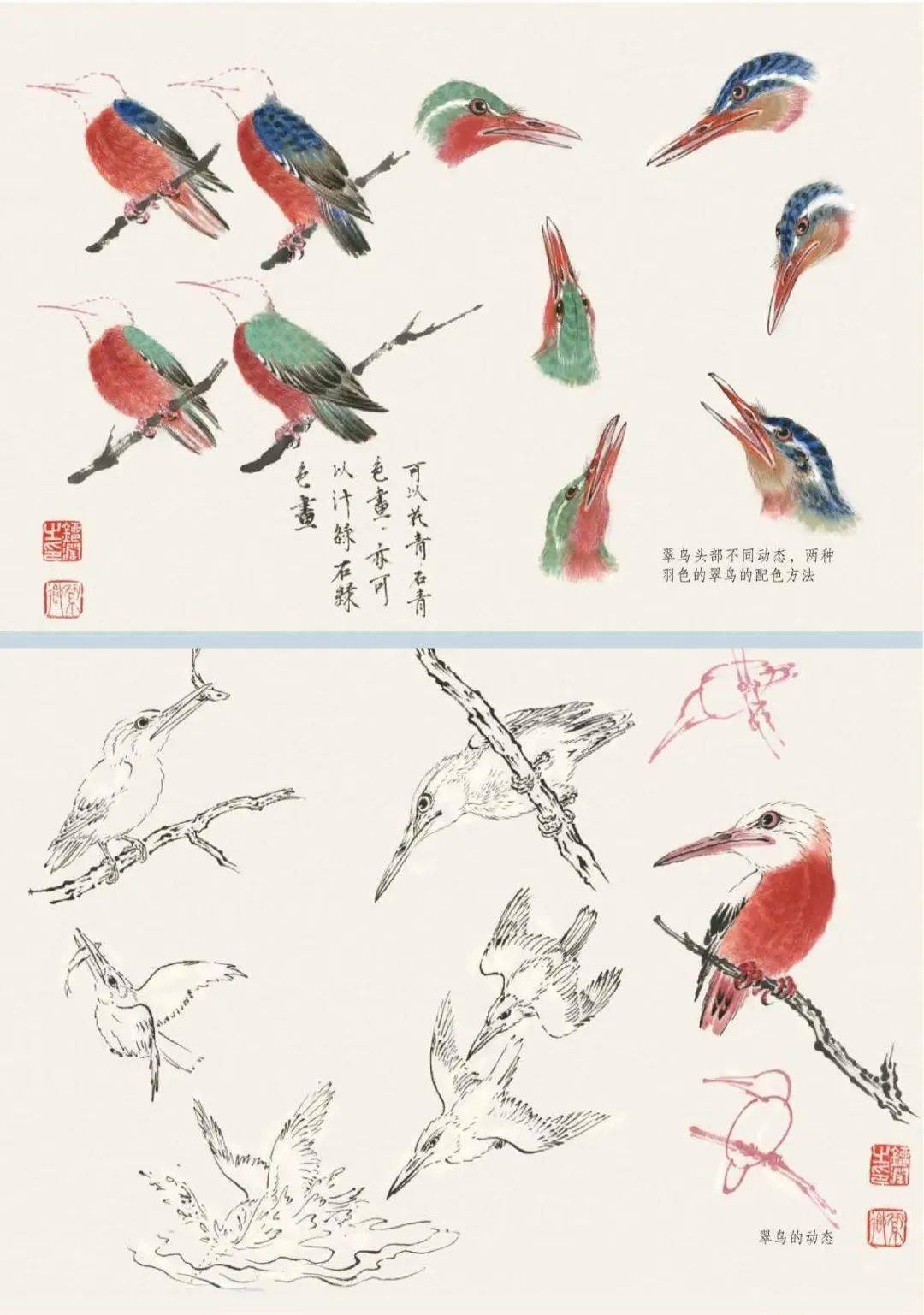 禽鸟写意技法大汇总_八哥_喜鹊_通身