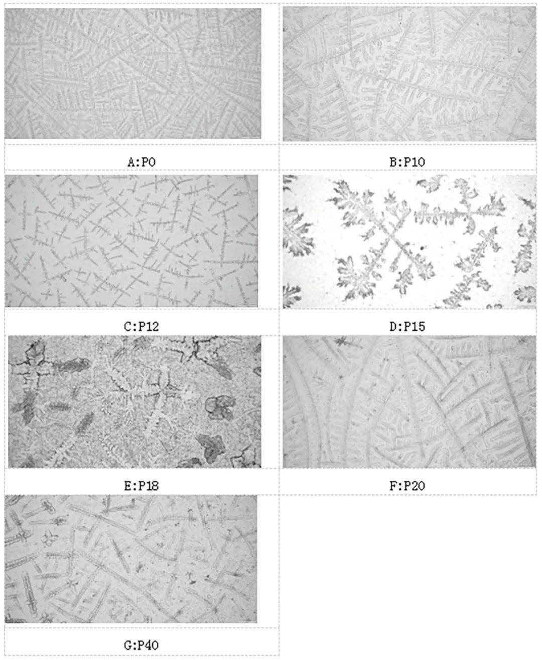 【遗传改良】母猪妊娠早期唾液,尿液和血浆生殖激素变